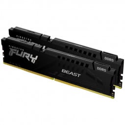 Kingston Fury Beast Black